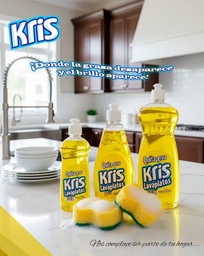 Lavaplato Kris 500gr
